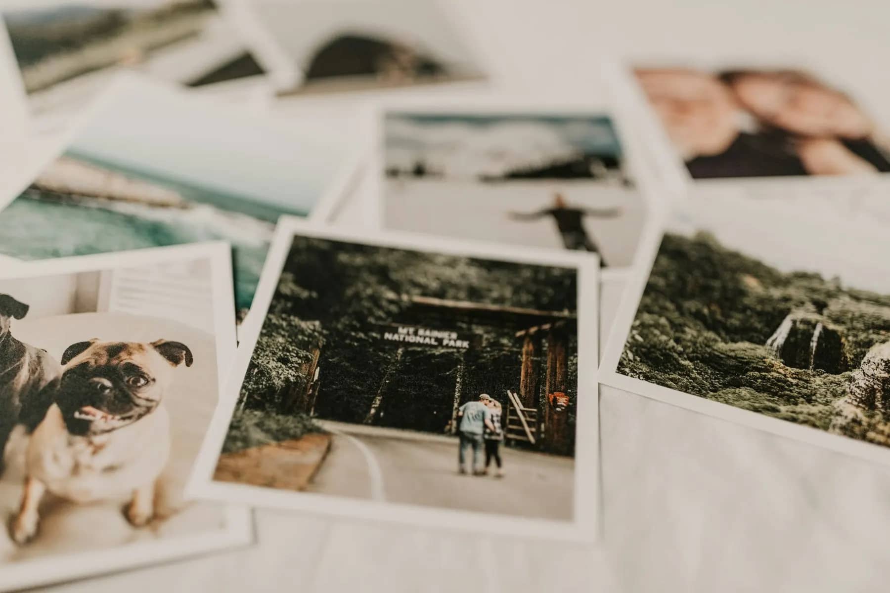 Fotografii imprimate așezate pe un material alb