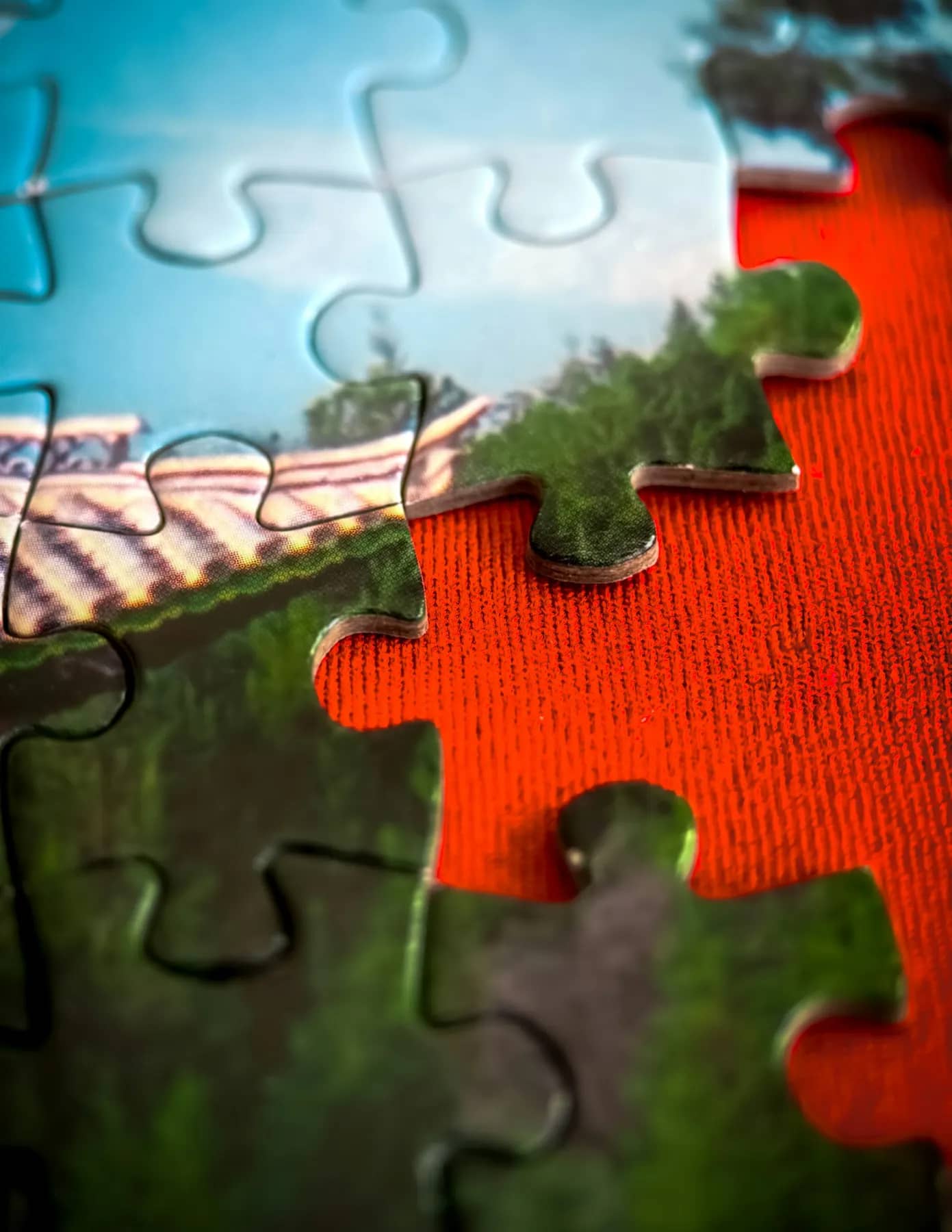 Piese de puzzle cu imagine fotografică