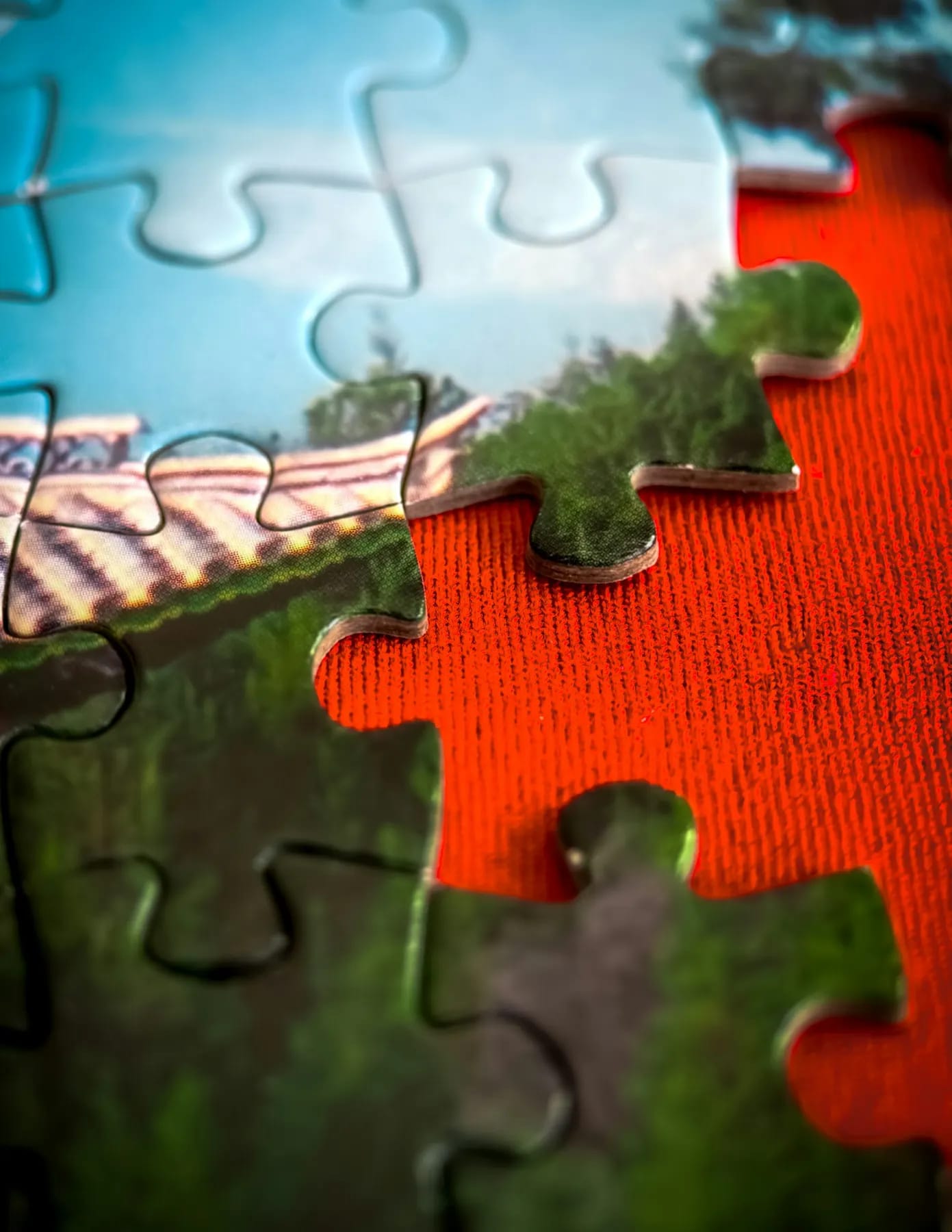 Piese de puzzle cu imagine fotografică